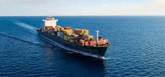 Export 1